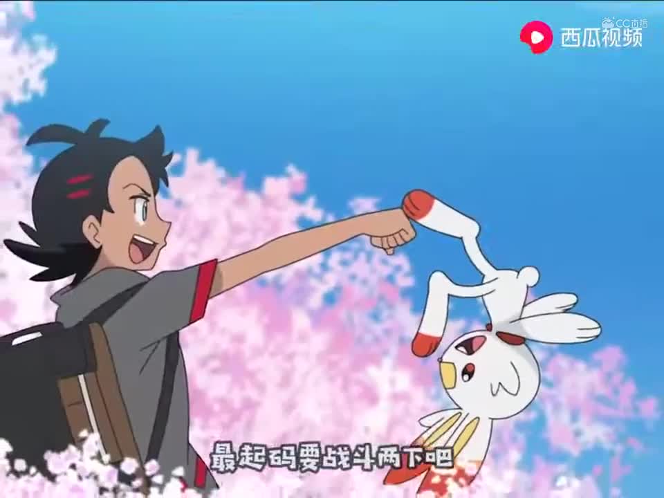 【油管搬运】宝可梦新无印6