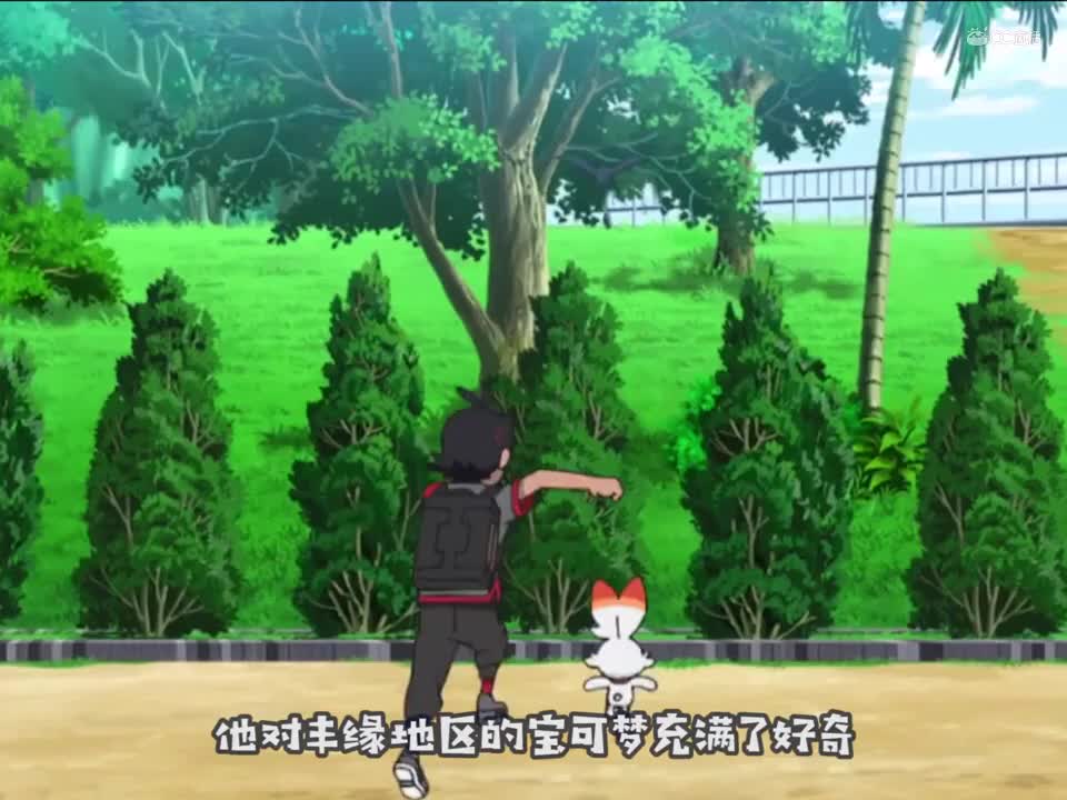【油管搬运】宝可梦新无印7