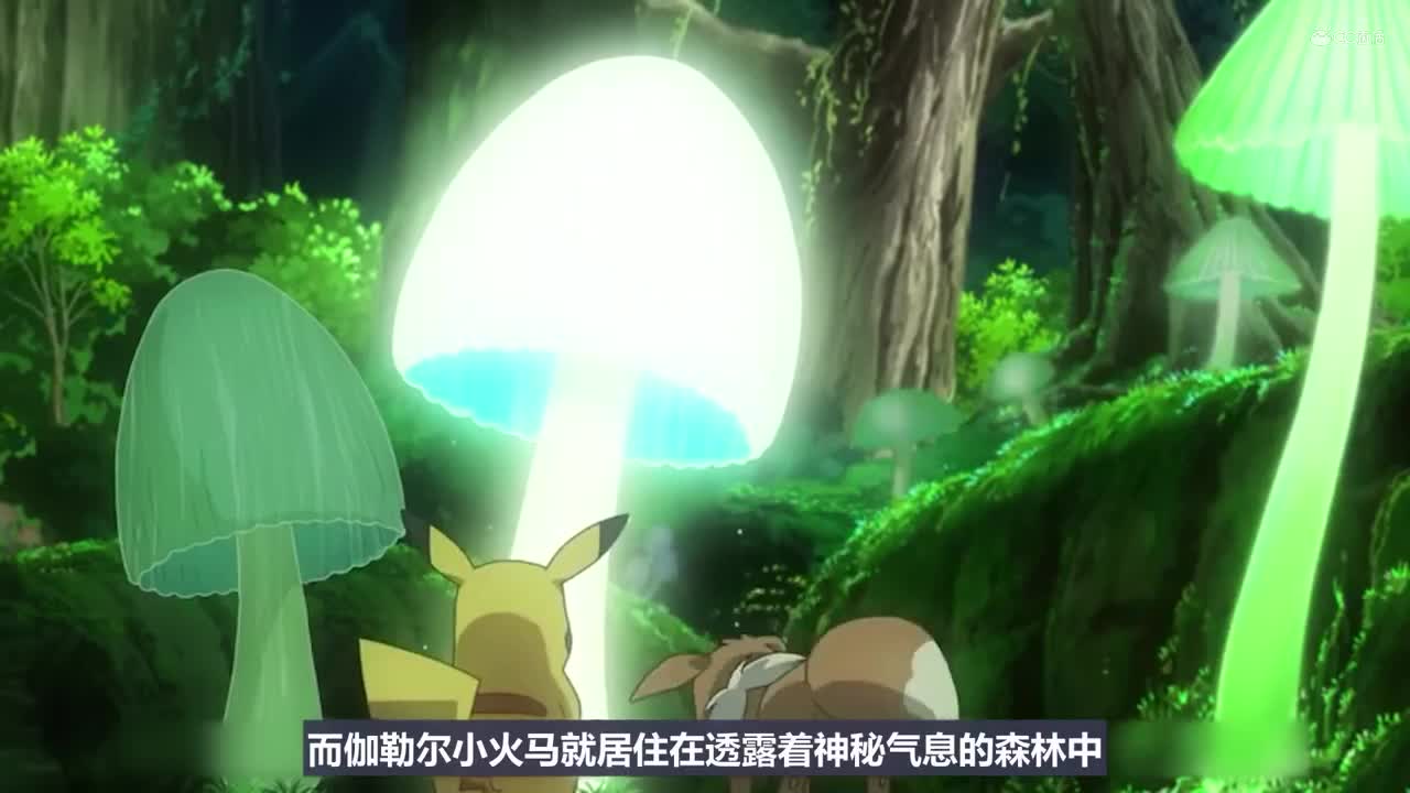 【油管搬运】宝可梦新无印55