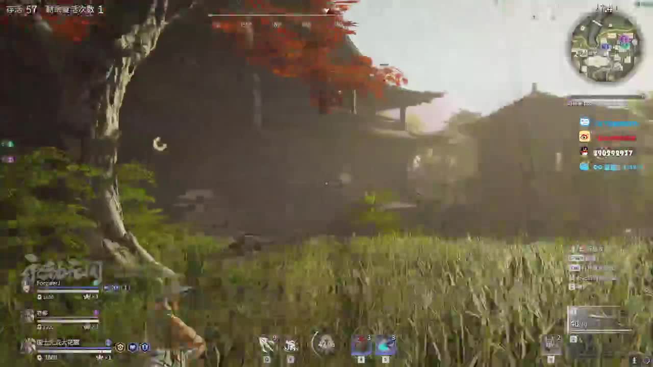 性感花猫，在线震刀