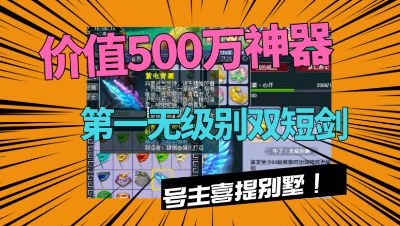 梦幻西游：第一无级别双短剑诞生，500万被神豪秒杀，喜提别墅！