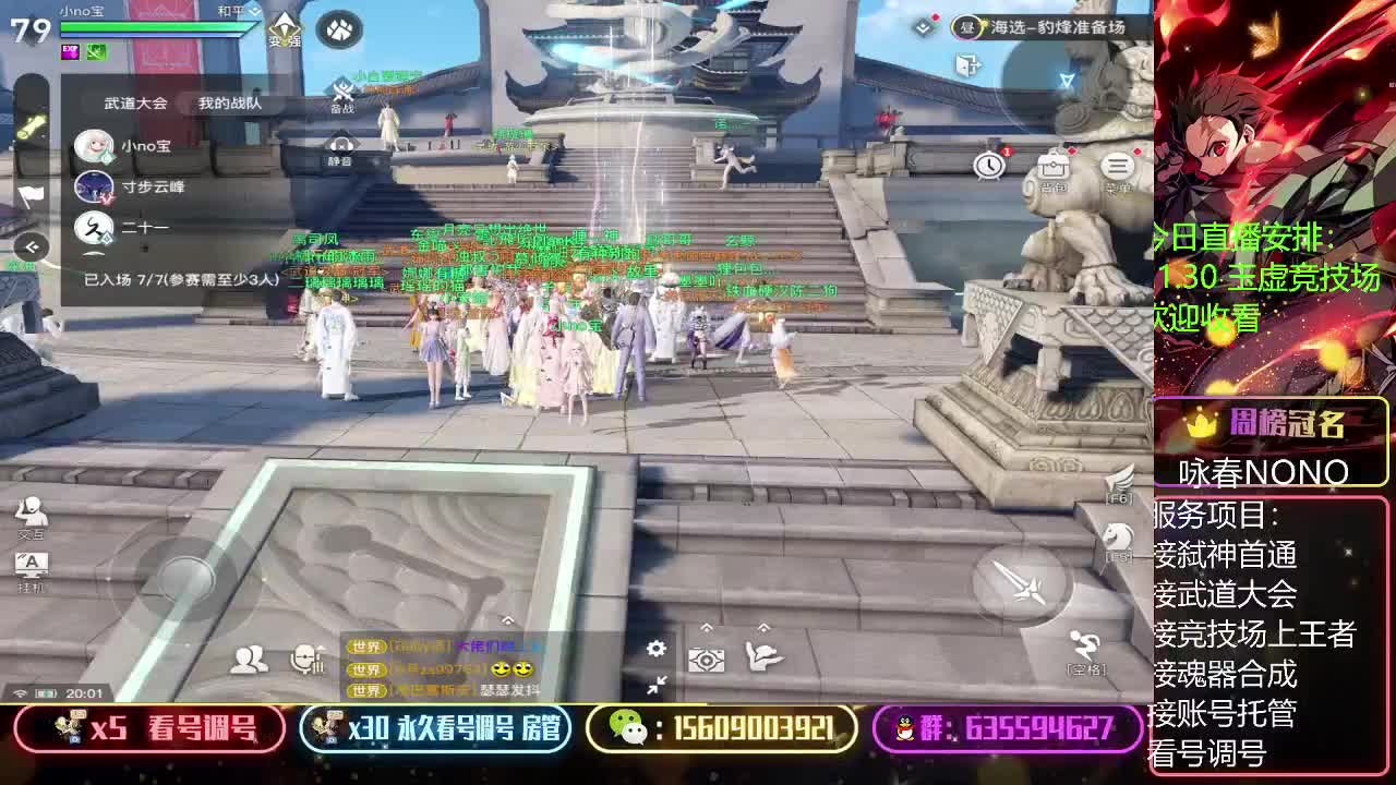 武道巅峰赛