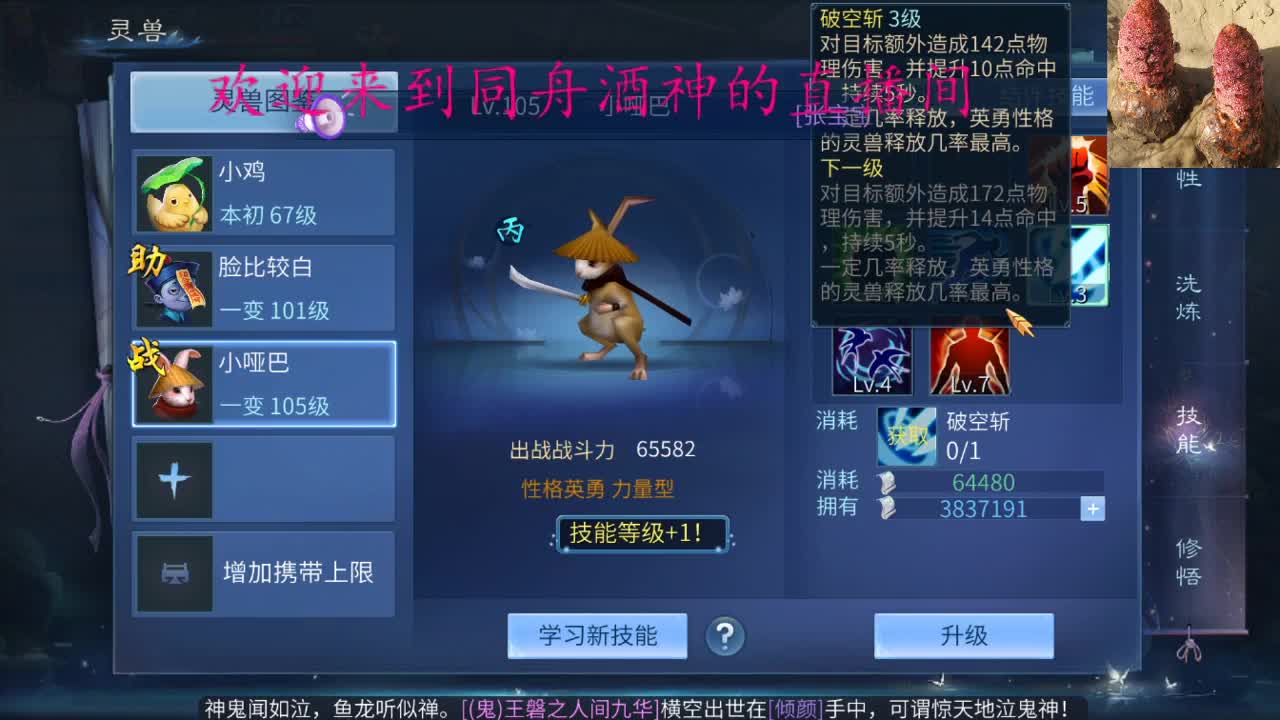 新主播求关照 第2段