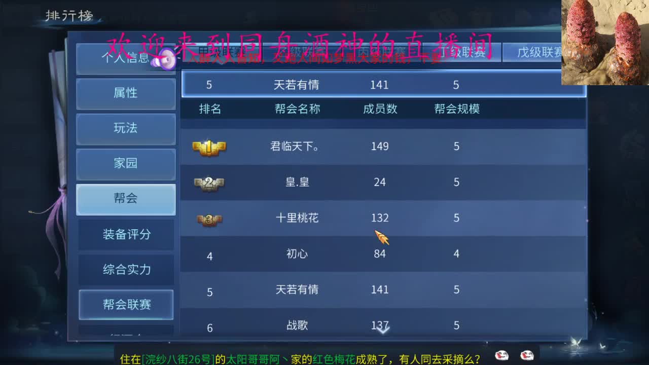 接新区升级，指挥，打造，托管，一条龙服务