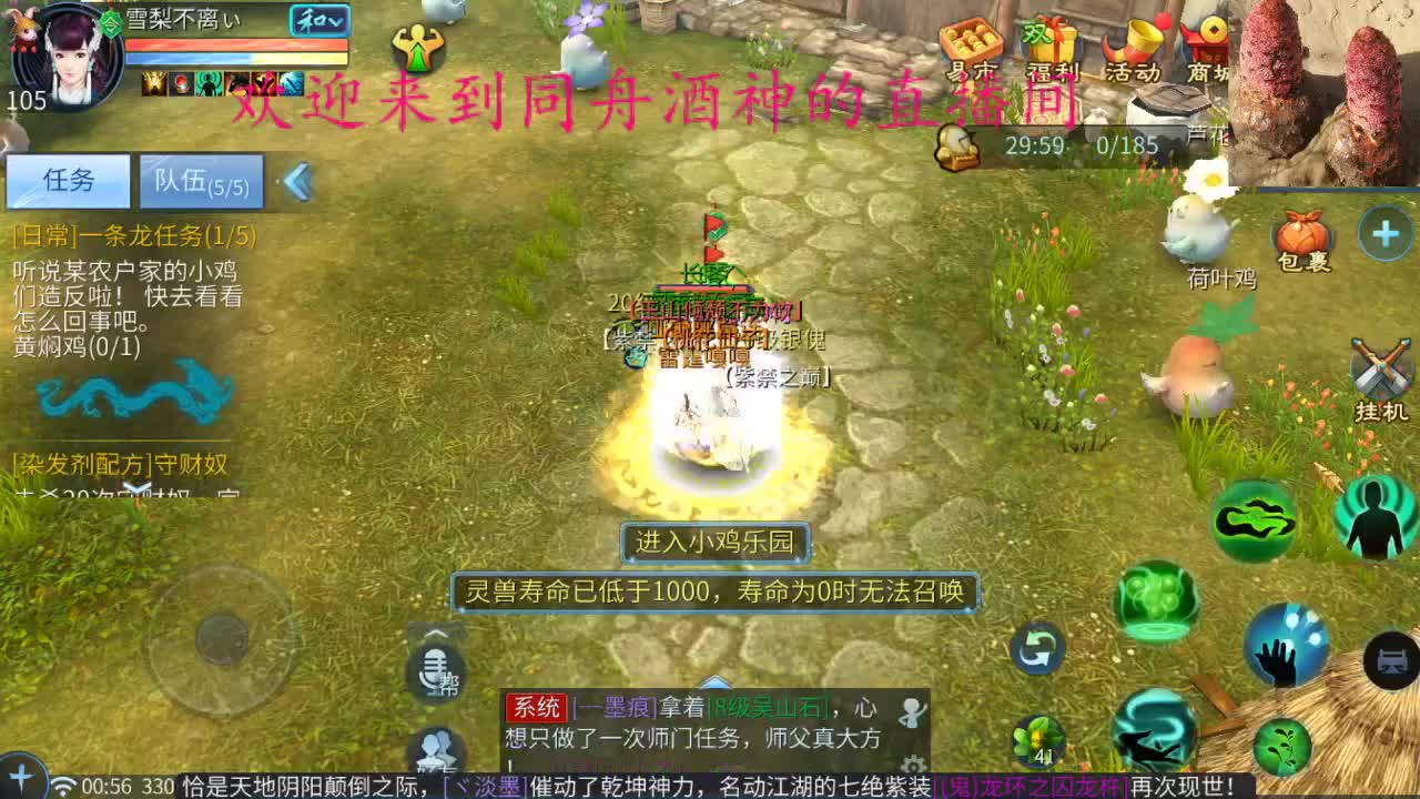 接新区升级，指挥，打造，托管，一条龙服务