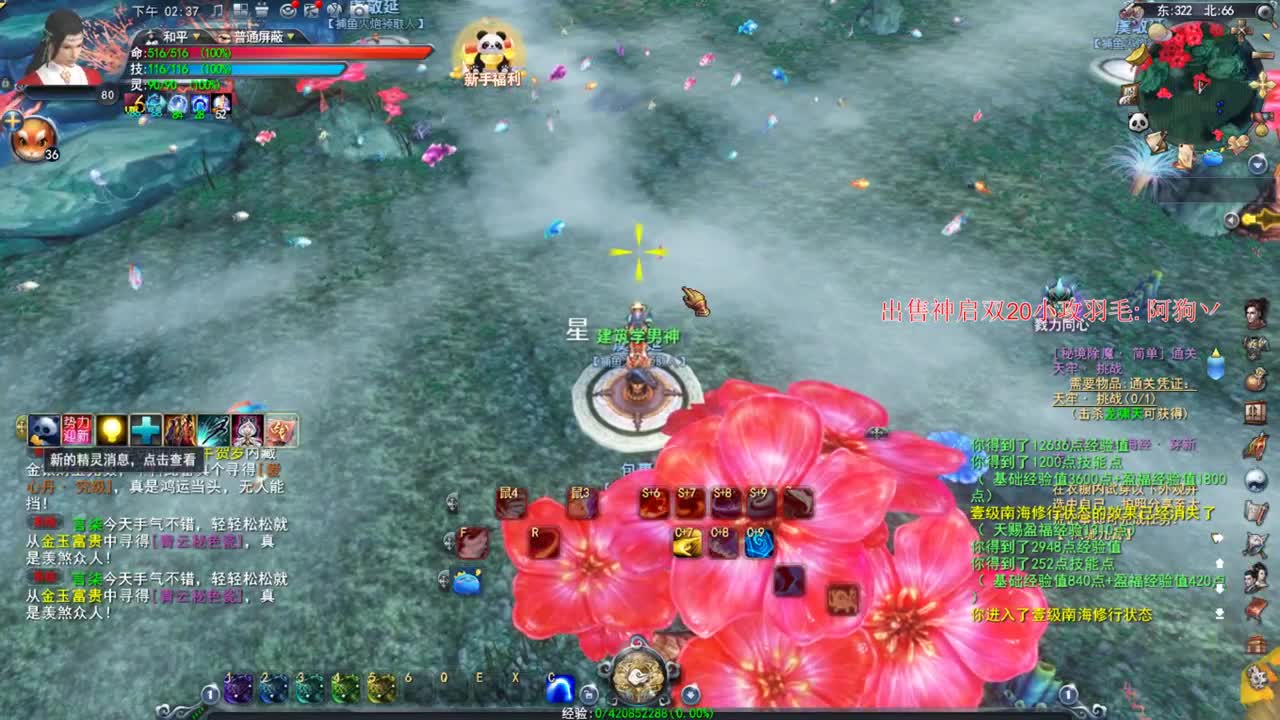 新区冲冲冲 第1段