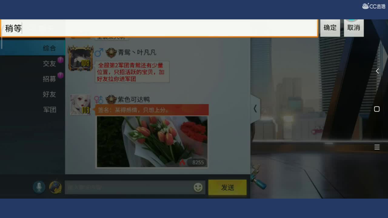 来个大哥秒榜啊 第2段