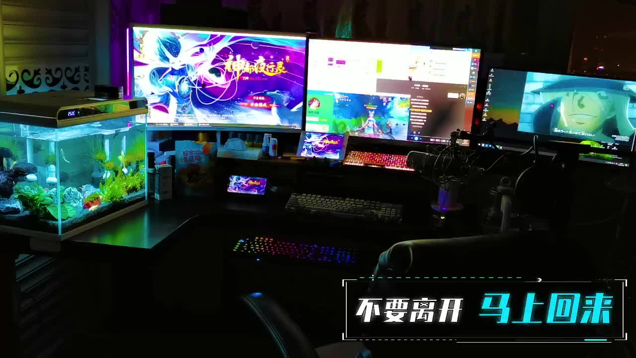 萌新答疑/代肝/排塔爬塔 第1段