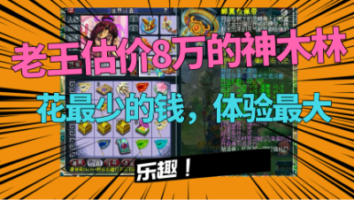 梦幻西游：估价8万159神木林，花最少的钱，体验最极限的快乐！