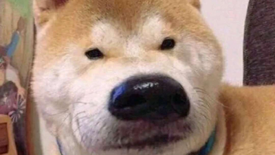 从狙击入门到手枪精通