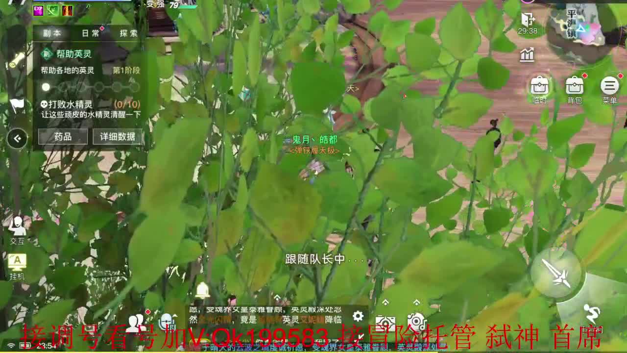 执手朝暮武道会！