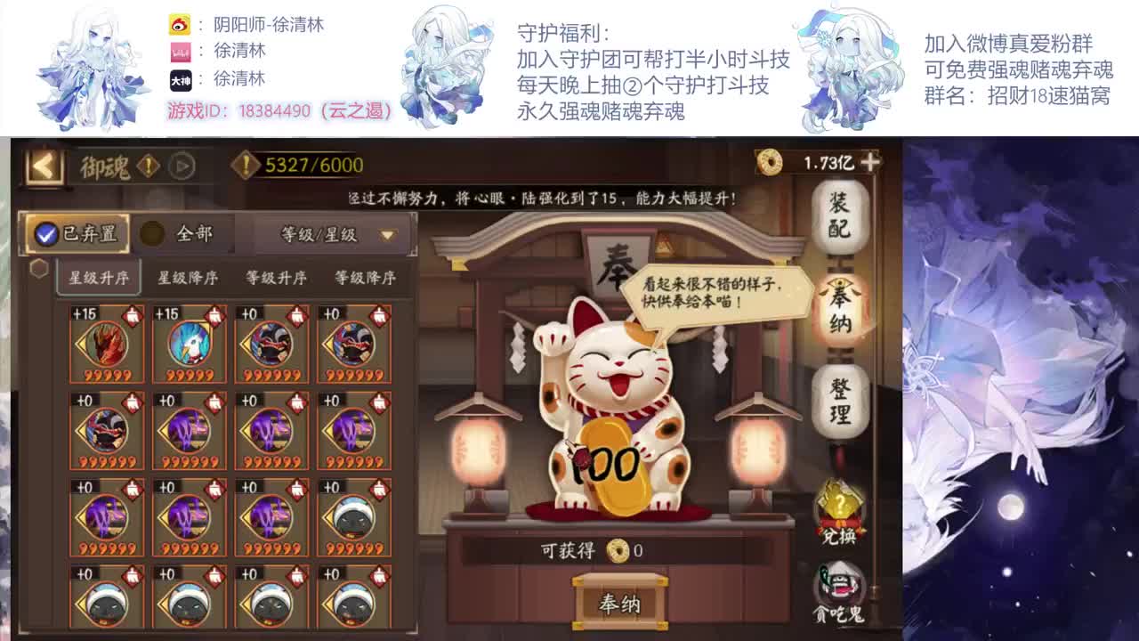 新的斗技环境一起冲 第1段
