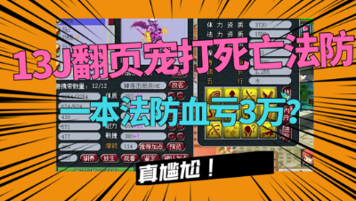 梦幻西游：老王给翻页净台宠打死亡法防，一本法防上去血亏3万？