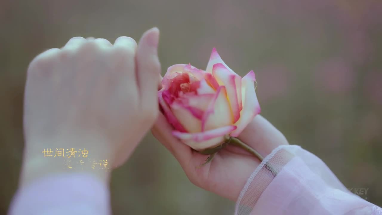 MHG The8 心动训练营 第4段