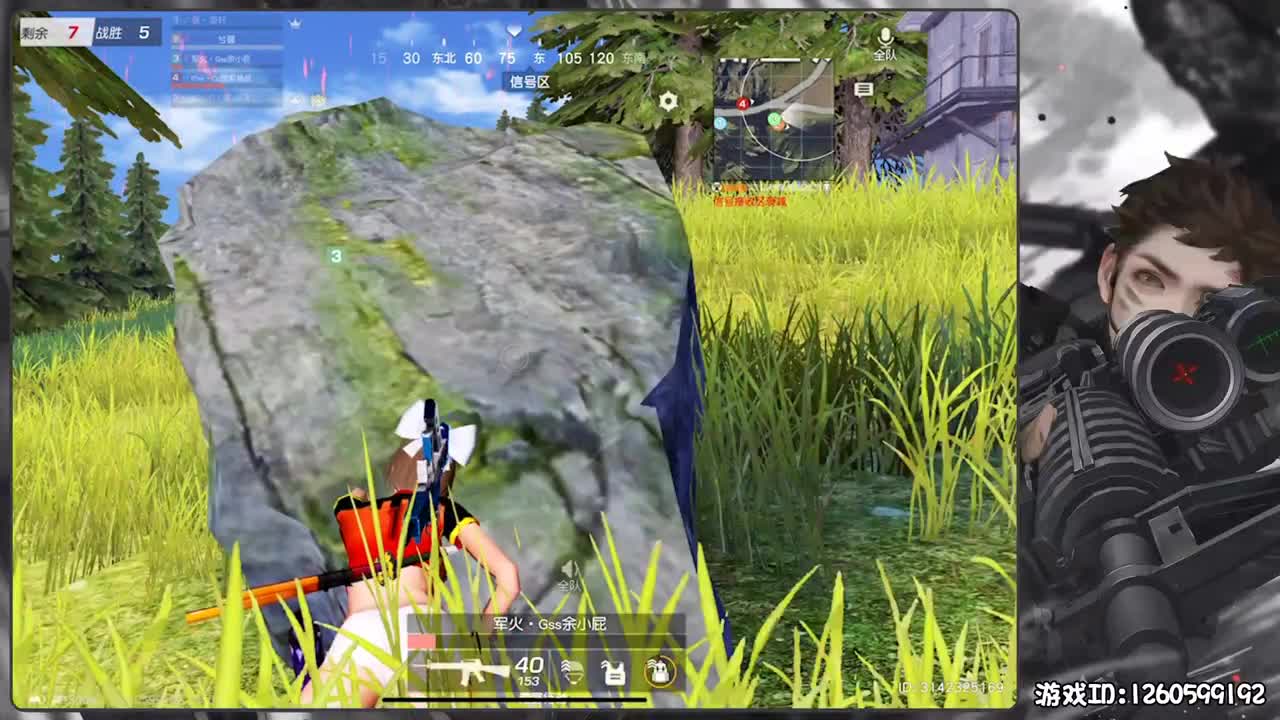 接巅峰赛dd