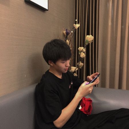 小高尊师刘公子『凌云