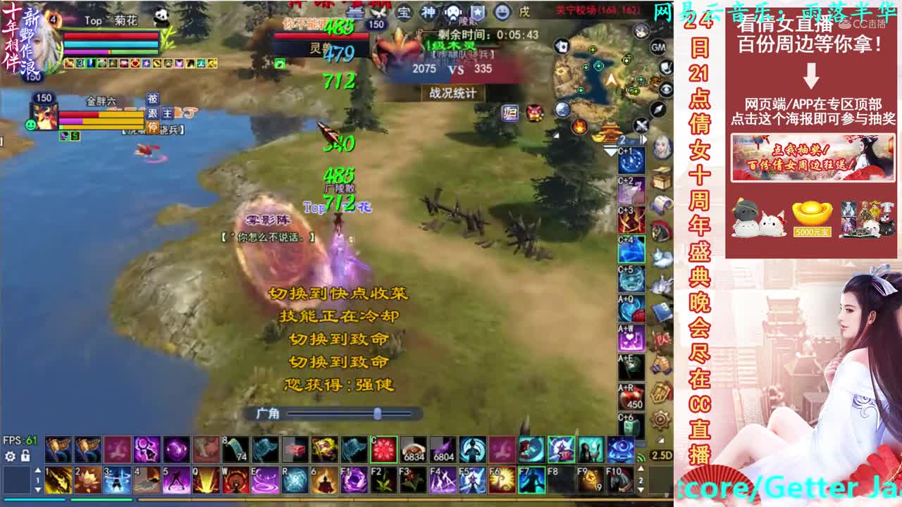 菊花150司星