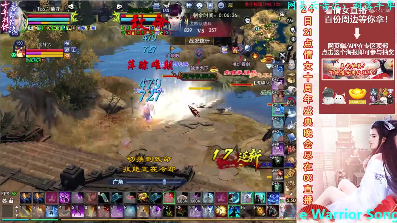 菊花150司星2