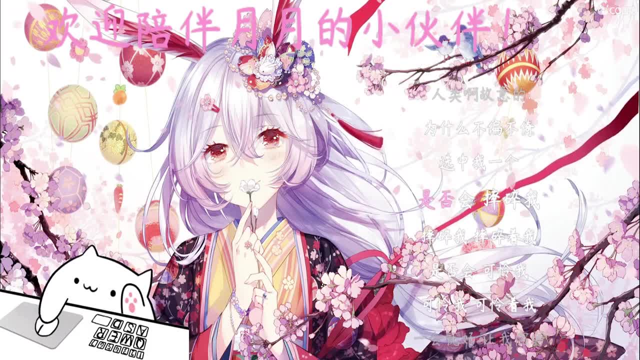 新主播哇哈哈！