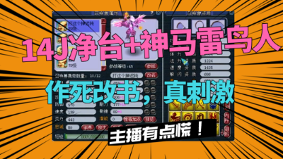 梦幻西游：14J净台+神马雷鸟人改书，刚看一个技能，主播慌了！