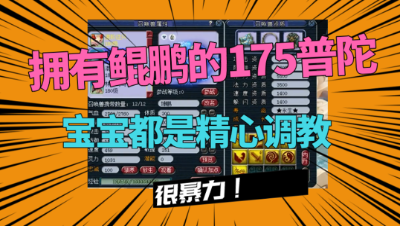 梦幻西游：拥有价值10万鲲鹏的175普陀，宠精心搭配，俩字暴力！