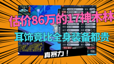 梦幻西游：一个灵饰比一身装备值钱，老王估价86万的175神木林！