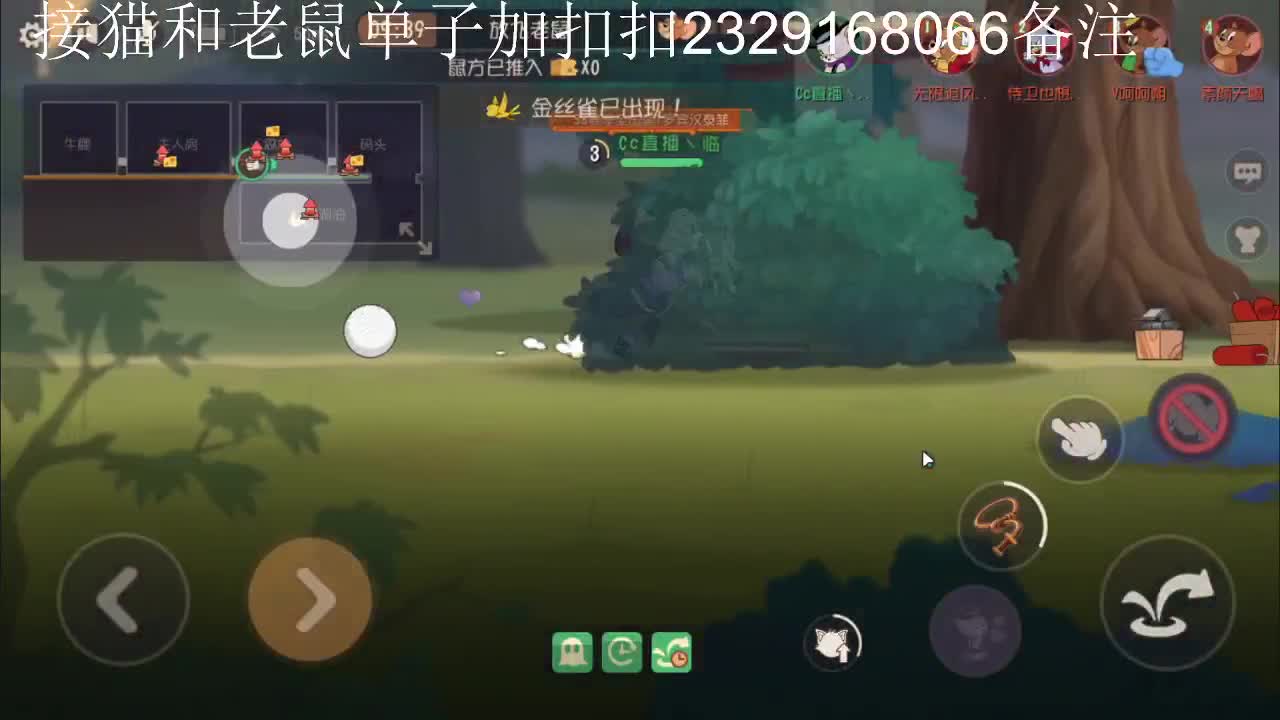 今天是个给猫上坟的好日子~
