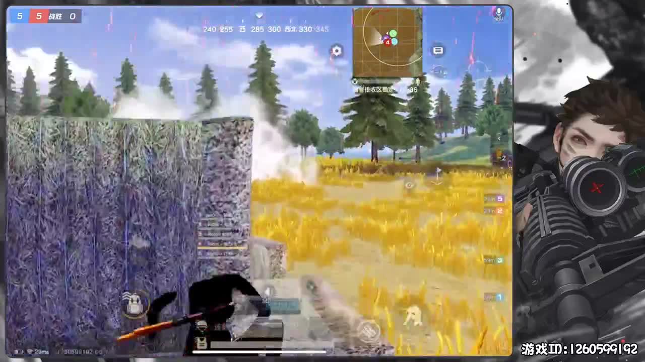 今天是小飞猪 第3段