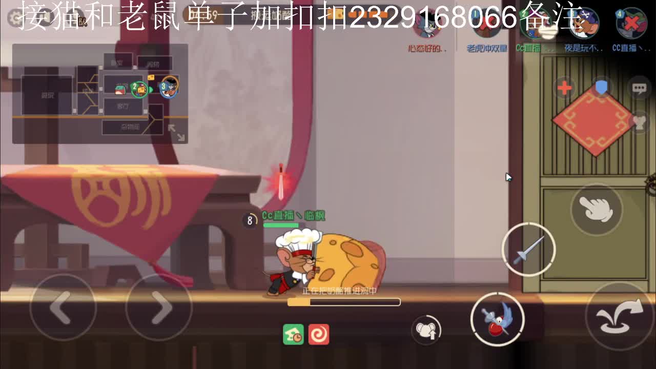今天是个给猫上坟的好日子~