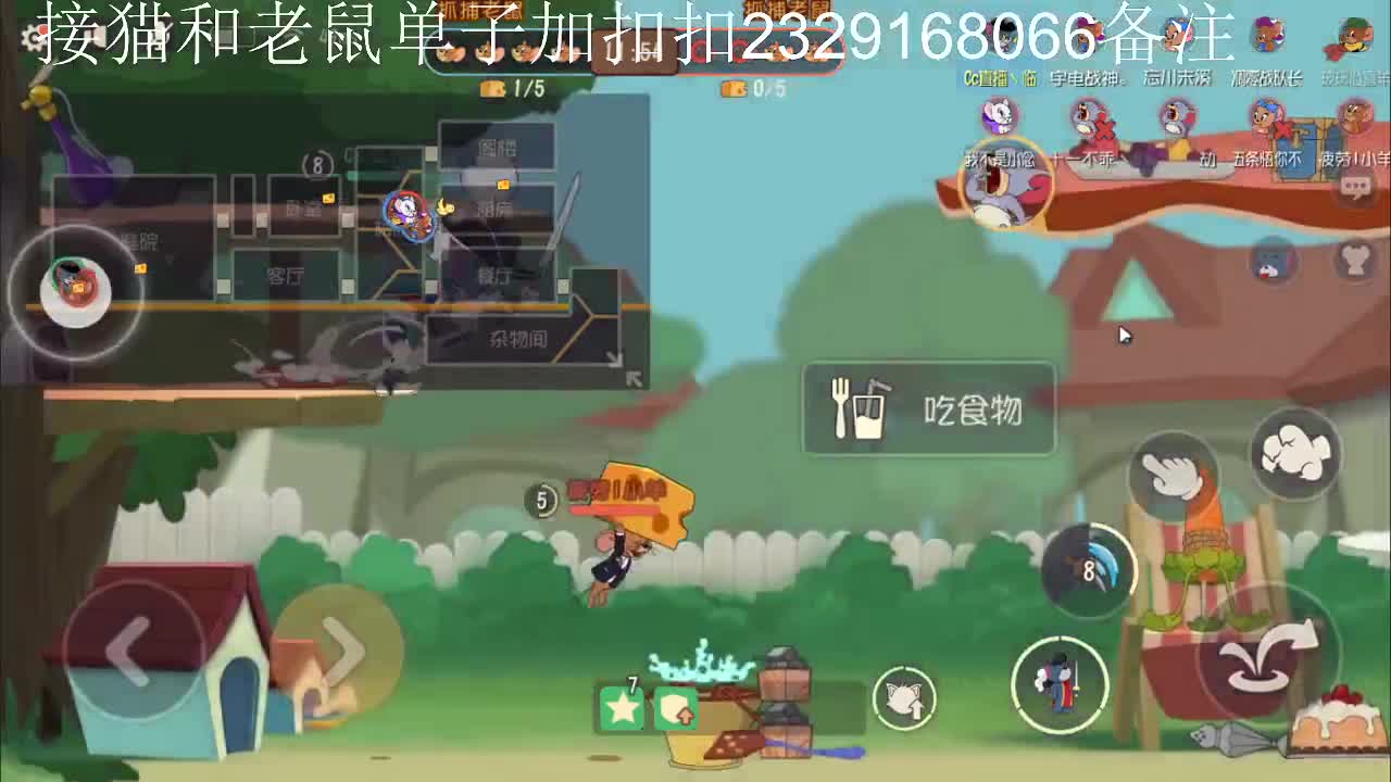 今天是个给猫上坟的好日子~
