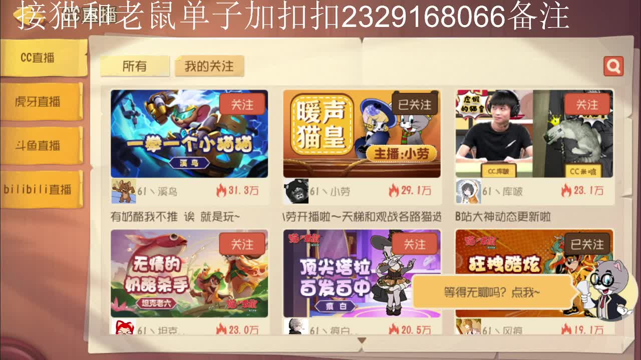 今天是个给猫上坟的好日子~