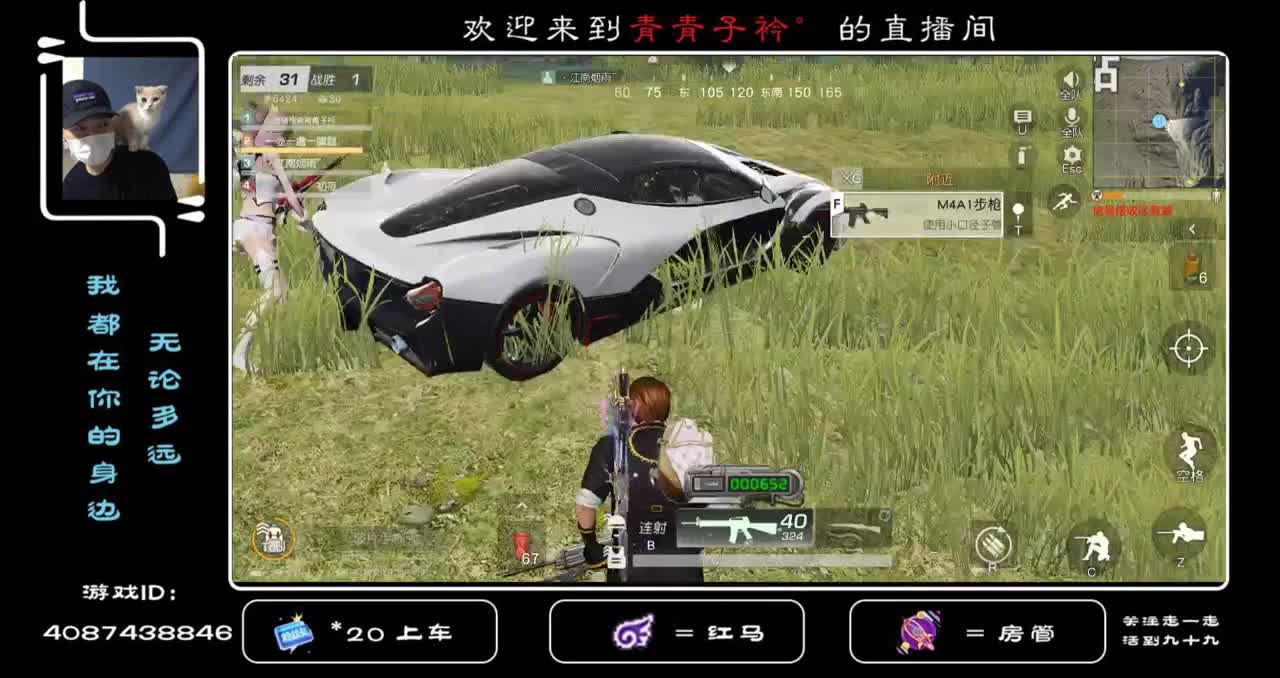 每天都在努力着
