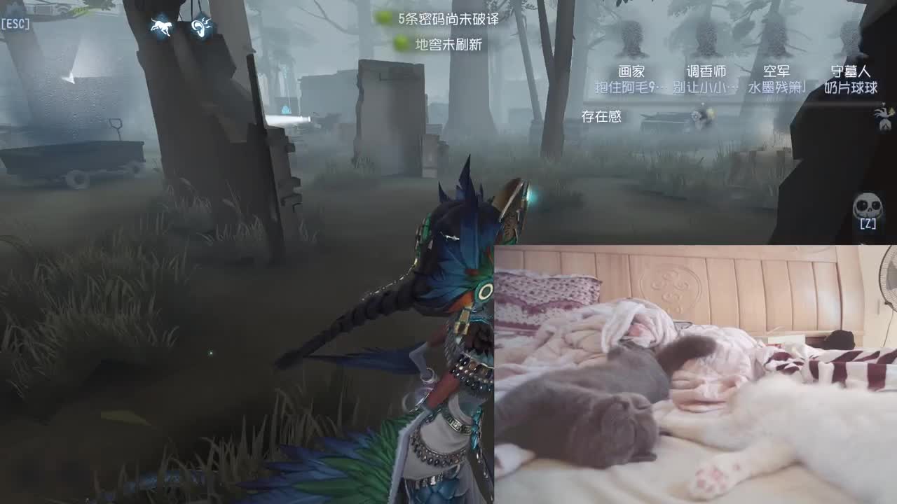 独一无二猪猪人 第2段