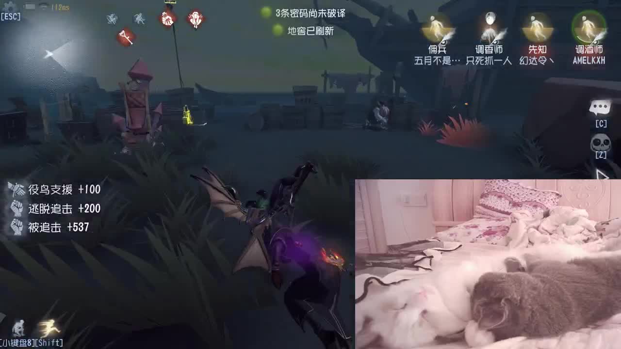 独一无二猪猪人 第2段