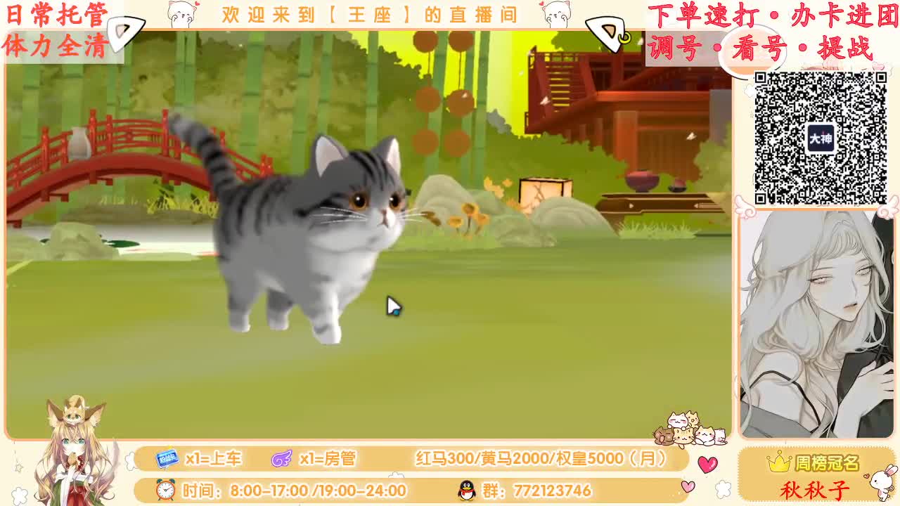晚上好~