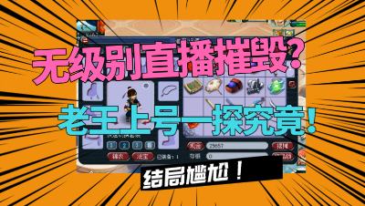 梦幻西游：玩家扬言“摧毁无级别”，老王上号一探究竟，结局尴尬