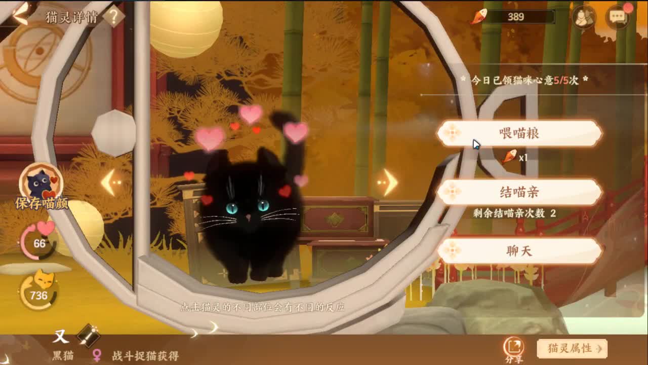 新手指南-全面整容解析 第1段