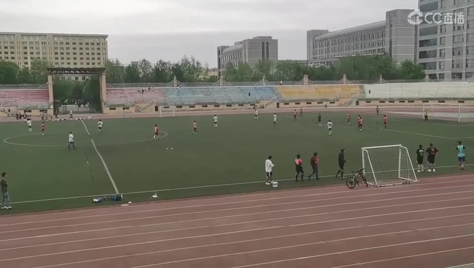 环化vs安全