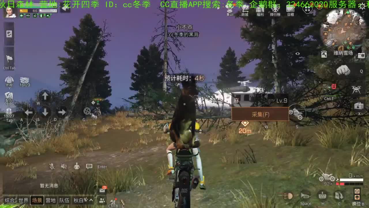 谢谢，送的加油棒！！！！