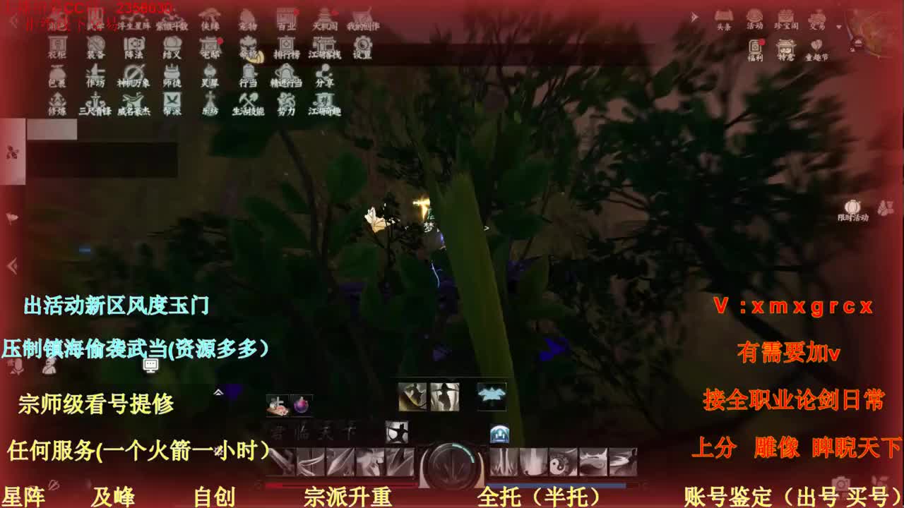 看号 提修 接全托账号鉴定 第2段