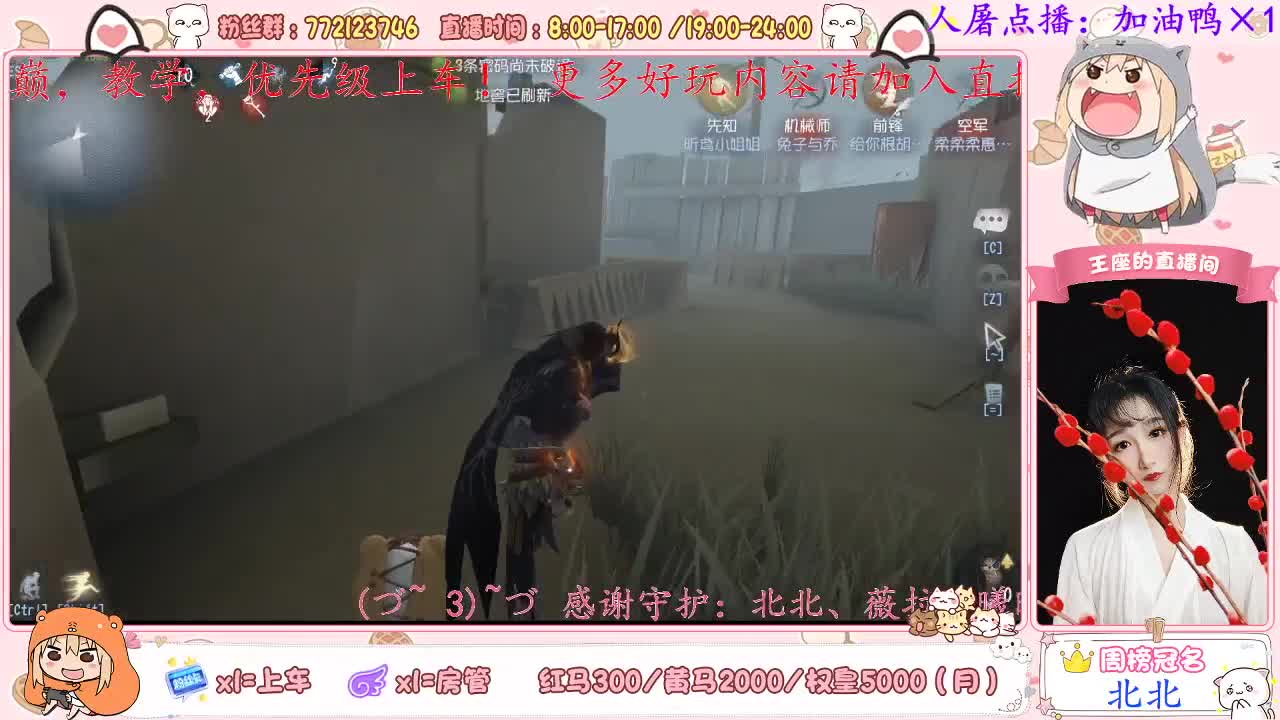 猪猪开播啦~