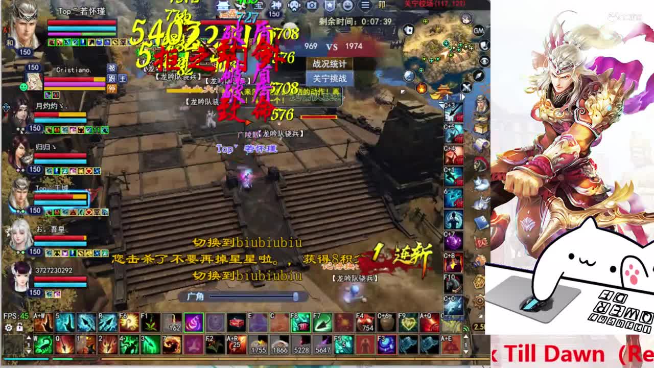 菊花150射手