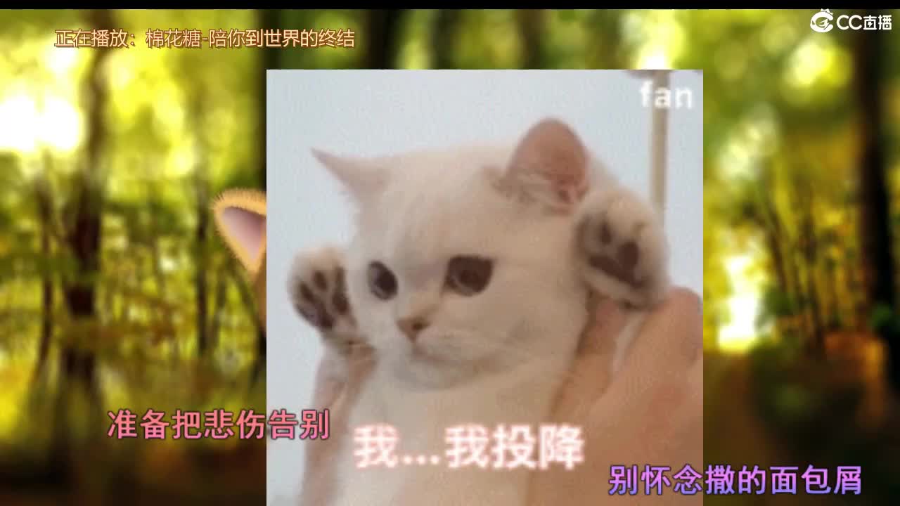 呜呜宝别选了就我吧 第2段