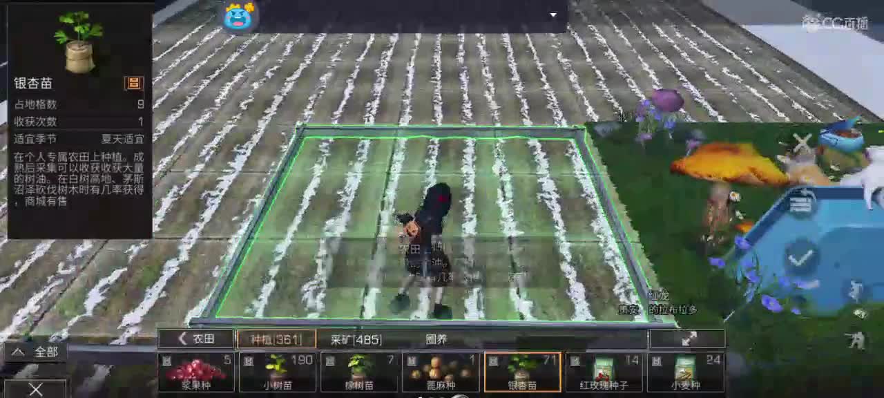 祝大家六月心想事成