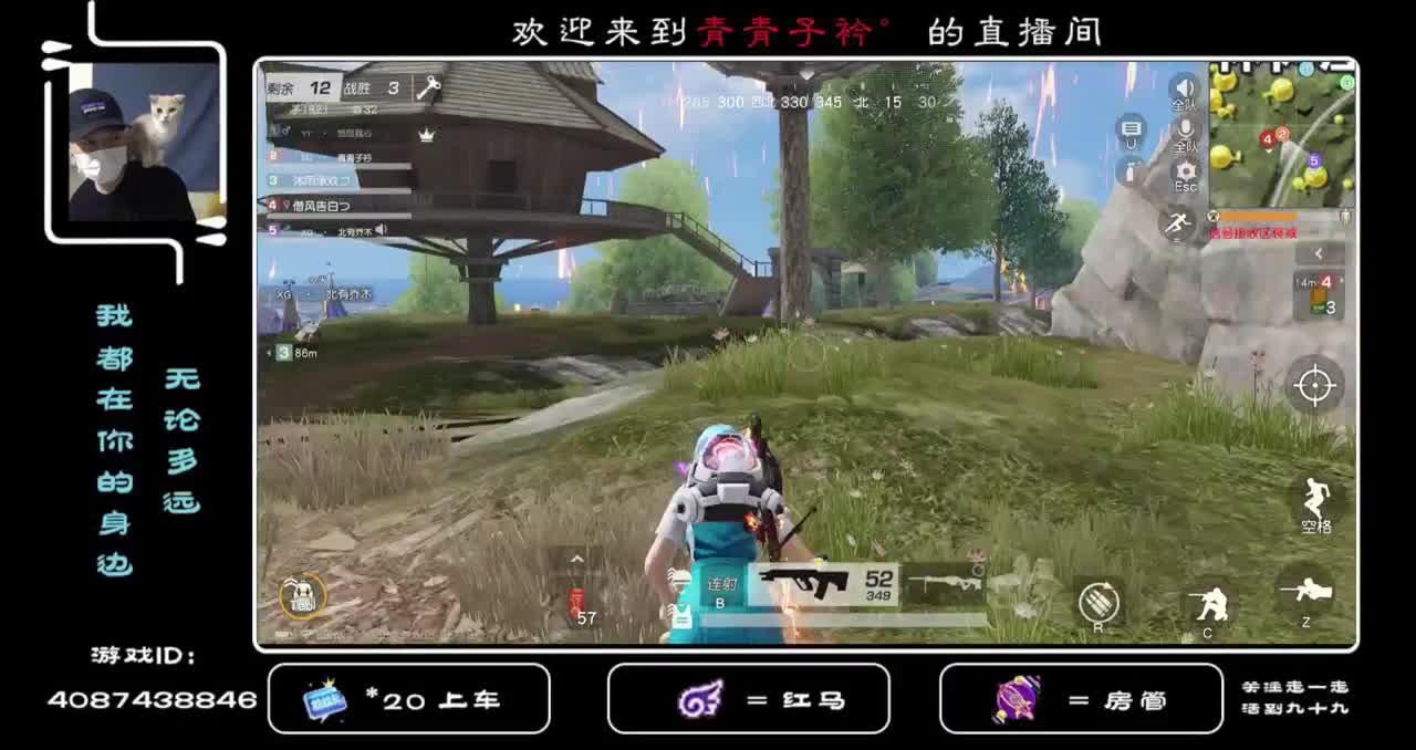 金色边框在哪？没见过！