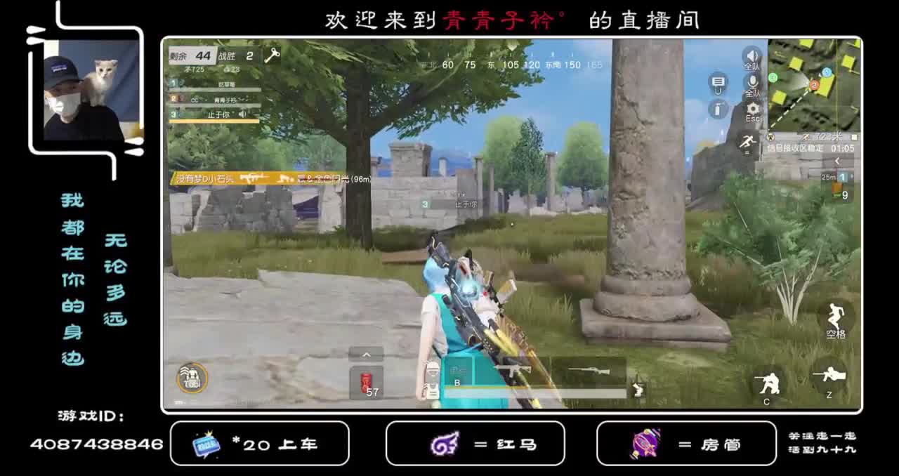 金色边框在哪？没见过！