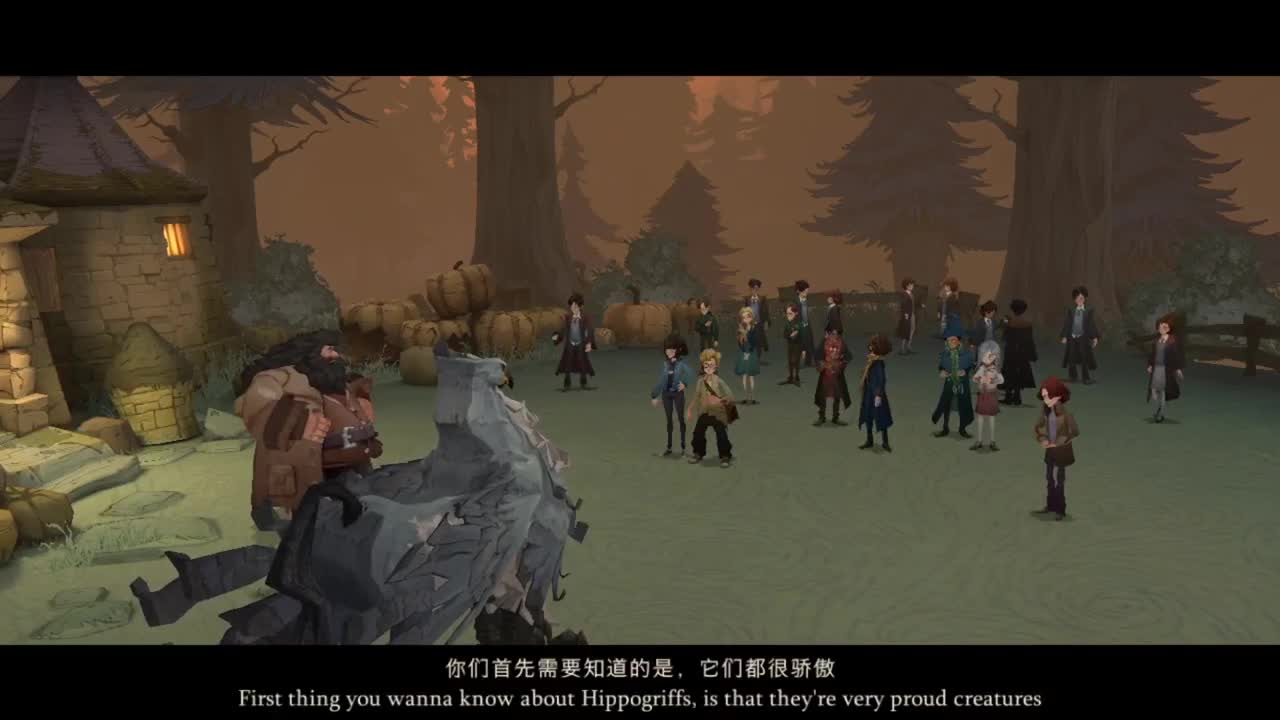 。。。。我不懂