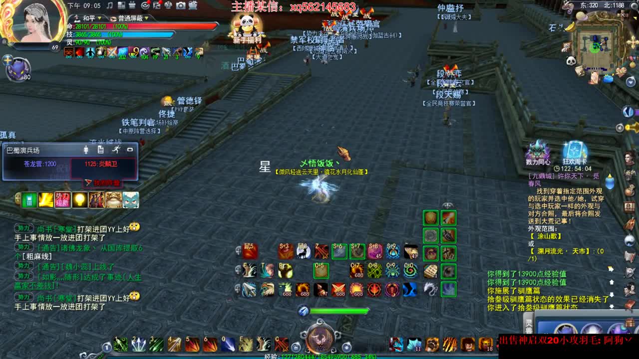 这个羽毛好骚啊！ 第2段