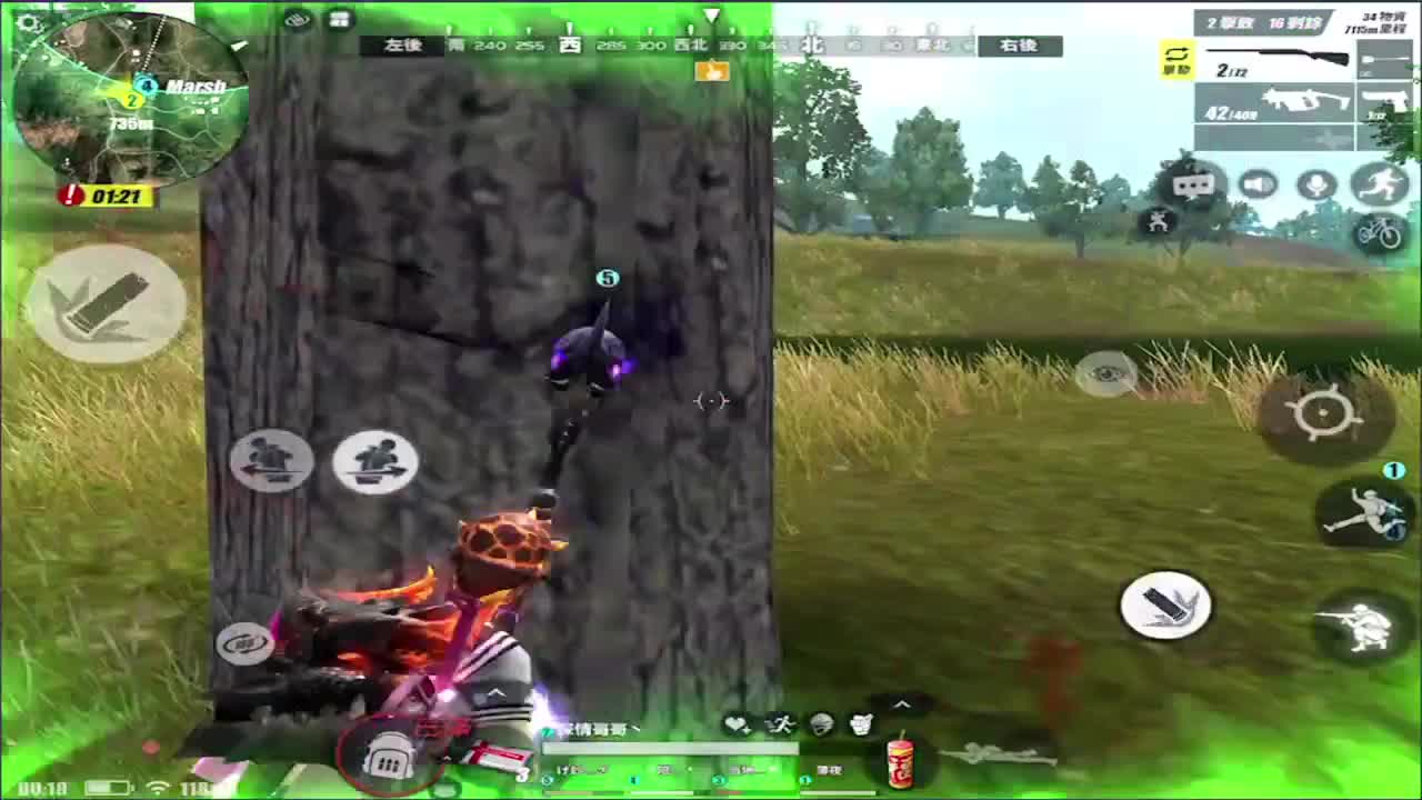 潮起潮落,人来人往!