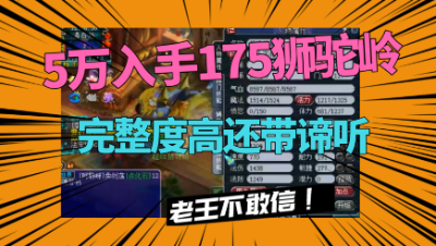 梦幻西游：估价5万6的175狮驼，完整度高还带谛听！
